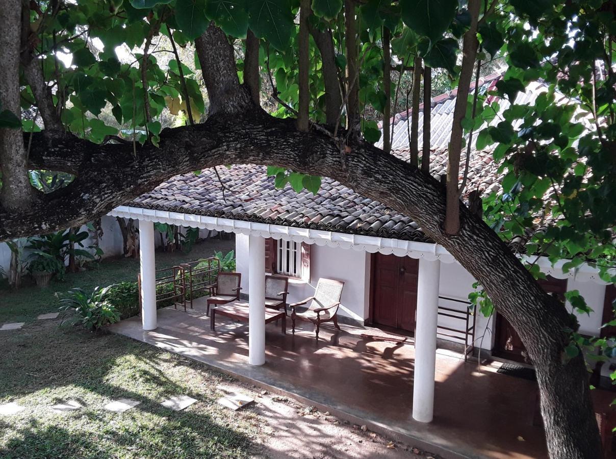 Palm Villa Mirissa Hotel&Spa Εξωτερικό φωτογραφία